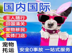 泰州机场托运国际宠物托运 【国